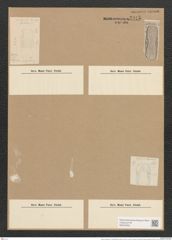 Amphora ostrearia var. quadrata (Breb.) Rabh. (de-Toni-Nr.: Genus 36, Species 1504) Zeichnungen Sammlung Grunow Nr. 2915 (NHMW-BOT-W0370255)